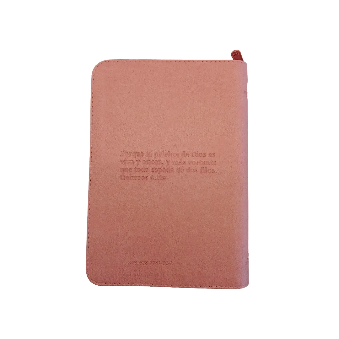 Biblia Reina Valera 1960 letra grande con cierre Rosa dos tonos canto plateado