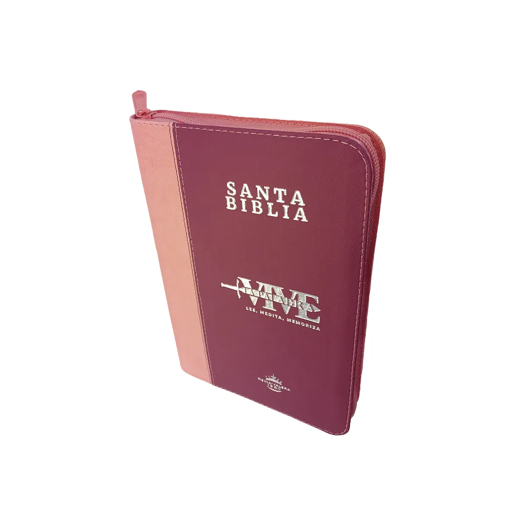Biblia Reina Valera 1960 letra grande con cierre Rosa dos tonos canto plateado