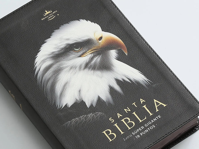 Biblia Reina Valera 1960 088C Lsgi 19P 16X23 Cp Pjr Nuevas Fuerzas
