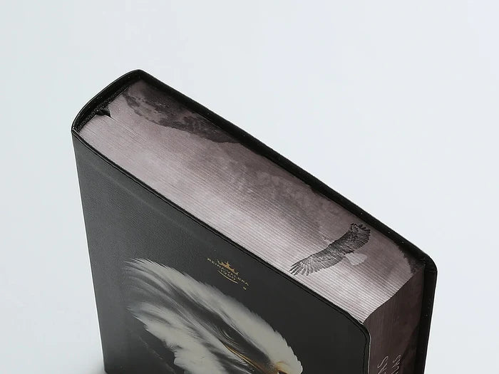 Biblia Reina Valera 1960 088C Lsgi 19P 16X23 Cp Pjr Nuevas Fuerzas