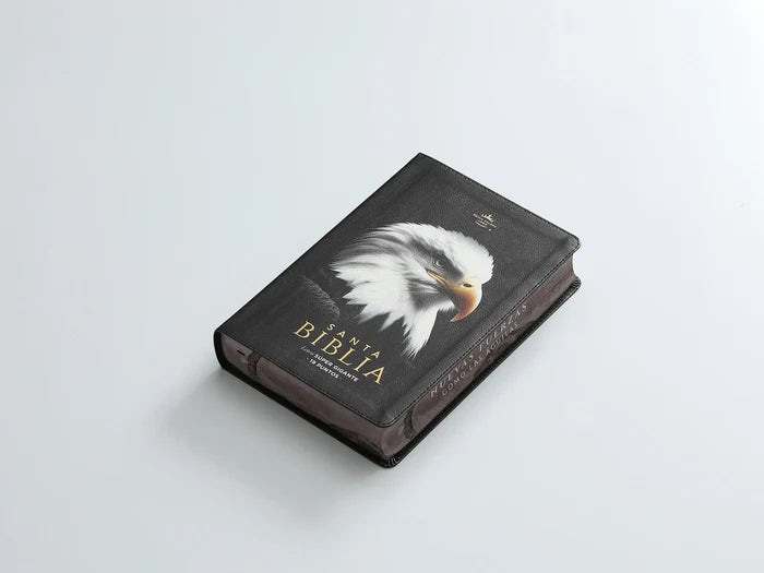 Biblia Reina Valera 1960 088C Lsgi 19P 16X23 Cp Pjr Nuevas Fuerzas