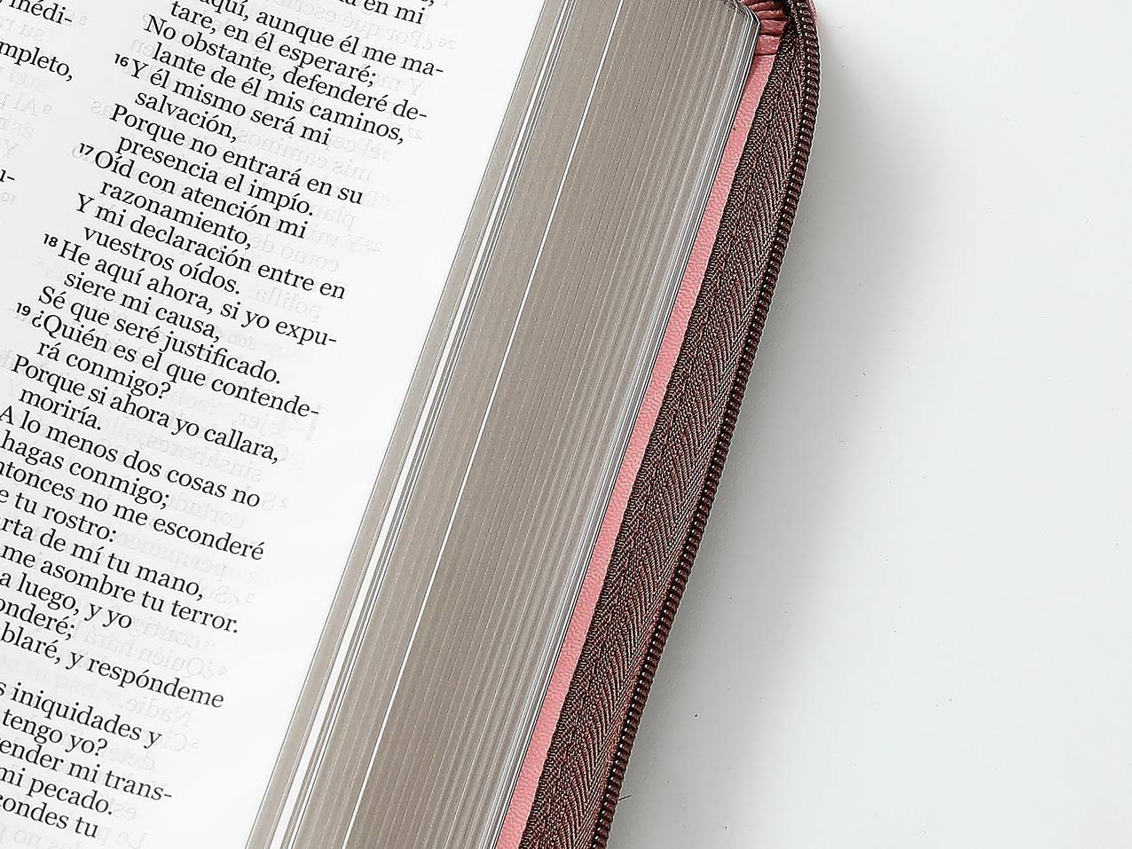Biblia Reina Valera 1960 – 068 – Con Concordancia – Letra 14 pts – 14x21 cm – Cierre – Rosa/Marrón – Mujer Virtuosa