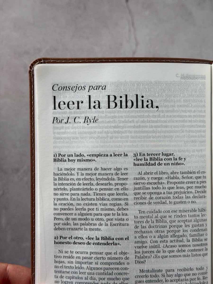 Biblia Reina Valera 1960 Exquisita – Con Concordancia – Letra 11 pts – 14x22 cm – Tapa PU – Mariposas en Primavera – Con Manija y Broche