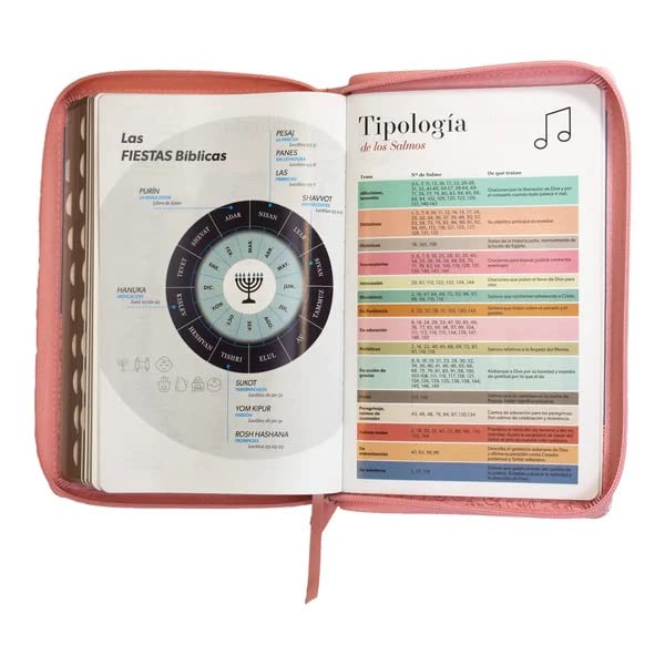 Biblia Reina Valera 1960 Letra Grande Cierre Ind PJR Rosa