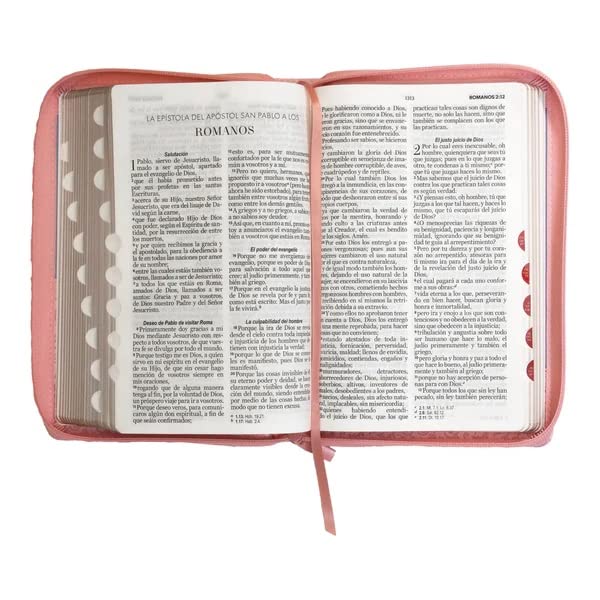 Biblia Reina Valera 1960 Letra Grande Cierre Ind PJR Rosa
