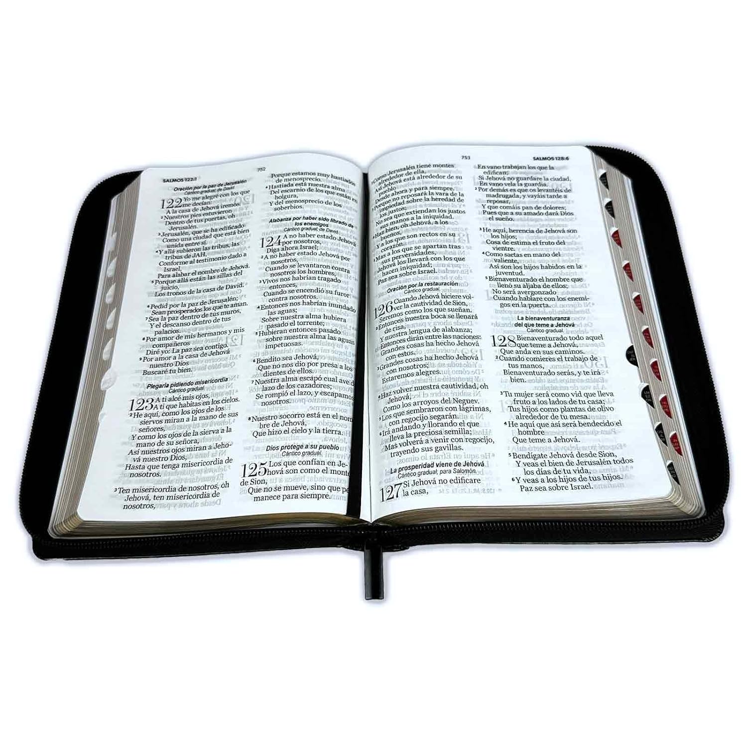 Biblia Reina Valera 1960 Letra Grande Cierre Ind PJR Negro