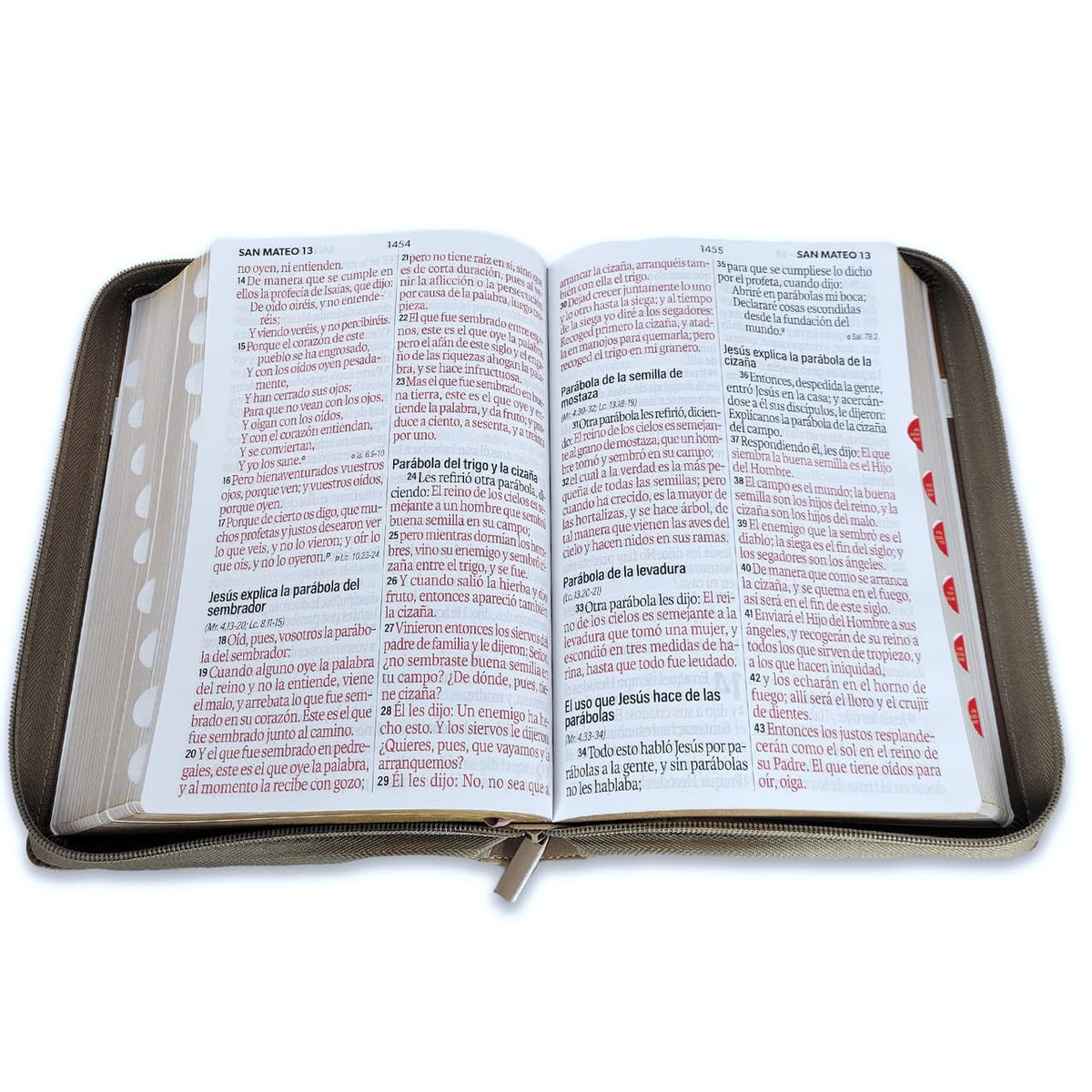 Biblia Reina Valera 1960 – 088 – Con Concordancia – Letra 19 pts – 16x23 cm – Cierre con Índice – Café