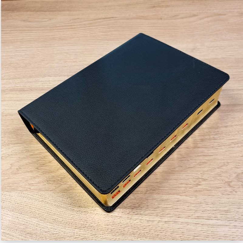 Biblia de Estudio Teológico Reina Valera 1960 – Tapa Piel Genuina Negra, Concordancia, con Índice, 17 x 24 cm, Letra 10 Puntos