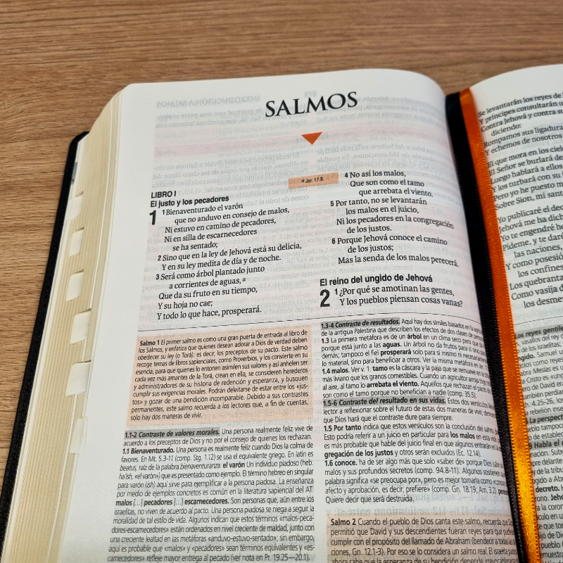 Biblia de Estudio Teológico Reina Valera 1960 – Tapa Piel Genuina Negra, Concordancia, con Índice, 17 x 24 cm, Letra 10 Puntos