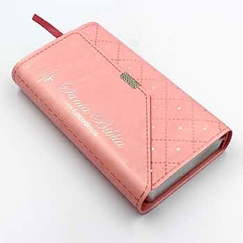 Biblia Reina Valera 1960 – Tapa Imitación Piel Rosa Agenda con Broche, con Cierre, Concordancia, 10 x 17 cm, Letra 10 Puntos