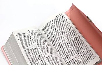 Biblia Reina Valera 1960 – Tapa Imitación Piel Rosa Agenda con Broche, con Cierre, Concordancia, 10 x 17 cm, Letra 10 Puntos
