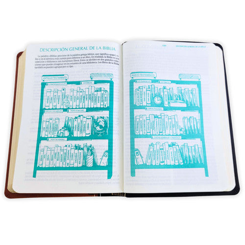 Biblia Mediana Fuente De Bendiciones Reina Valera 1960