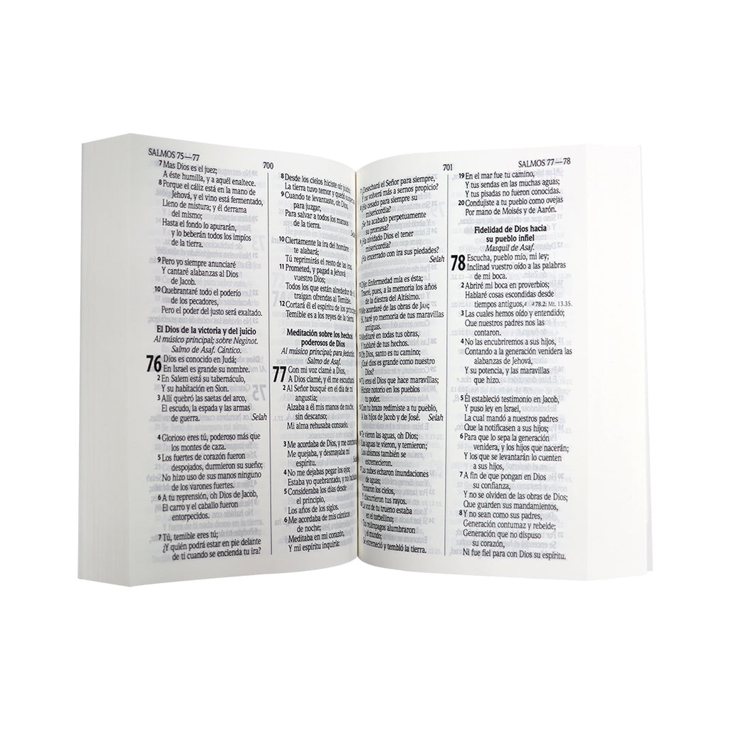 Biblia Reina Valera 1960 Letra Grande Palabras Jesús Rojo Concordancia Tapa rustica economicas