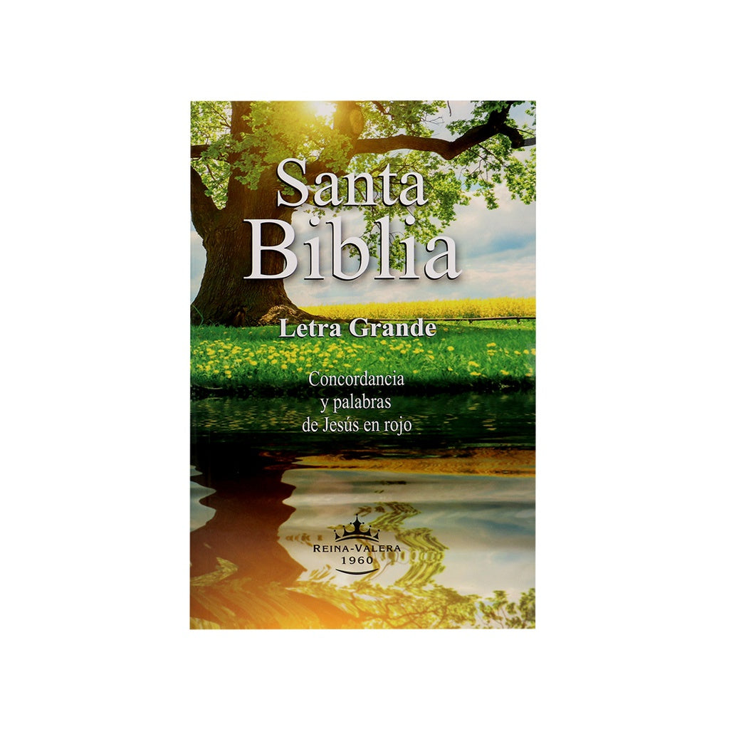 Biblia Reina Valera 1960 Letra Grande Palabras Jesús Rojo Concordancia Tapa rustica economicas