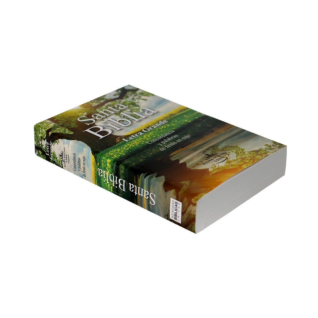 Biblia Reina Valera 1960 Letra Grande Palabras Jesús Rojo Concordancia Tapa rustica economicas