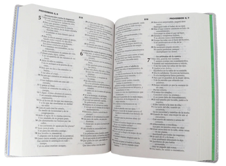 Biblia Para Niños Mig Y Meg Rosa Reina Valera 1960