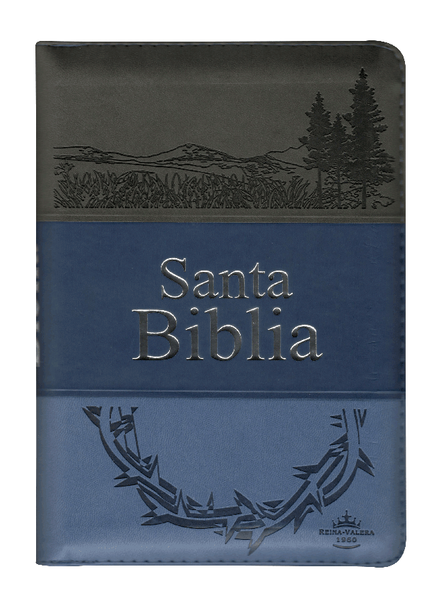 Biblia Reina Valera 1960 – Tapa Imitación Piel Tritono Azul, con Cierre, Concordancia, Palabras de Jesús en Rojo, con Índice, 14 x 22 cm, Letra 12 Puntos