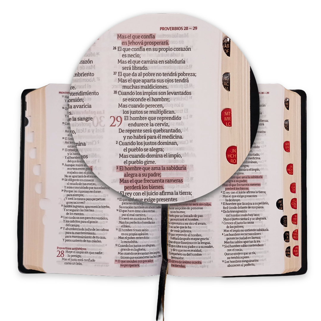 Biblia Reina Valera 1960 Letra Mayor Fb Indice Concordancia