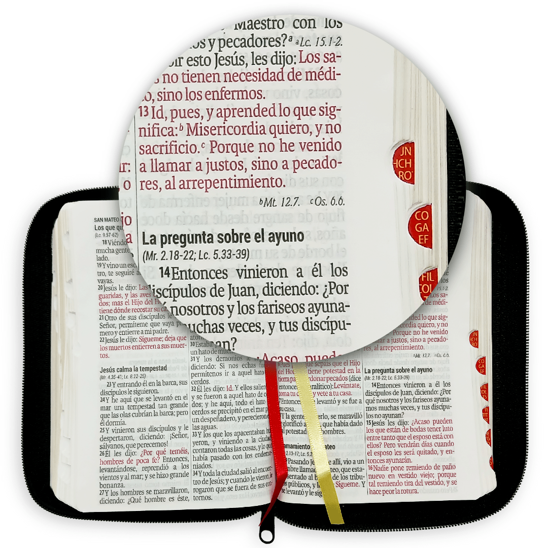 Biblia Reina Valera 1960 – Tapa Imitación Piel Negro, con Cierre, Concordancia, Palabras de Jesús en Rojo, con Índice, 13 x 18 cm, Letra 11 Puntos