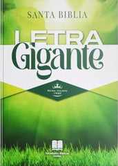 Biblia Reina Valera 1960 Letra Grande 14 Puntos 19.7 x 13.5 PJR Tapa Rústica Verde