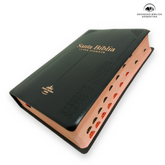 Biblia Reina Valera 1960 Letra Gigante Negro 14 Puntos