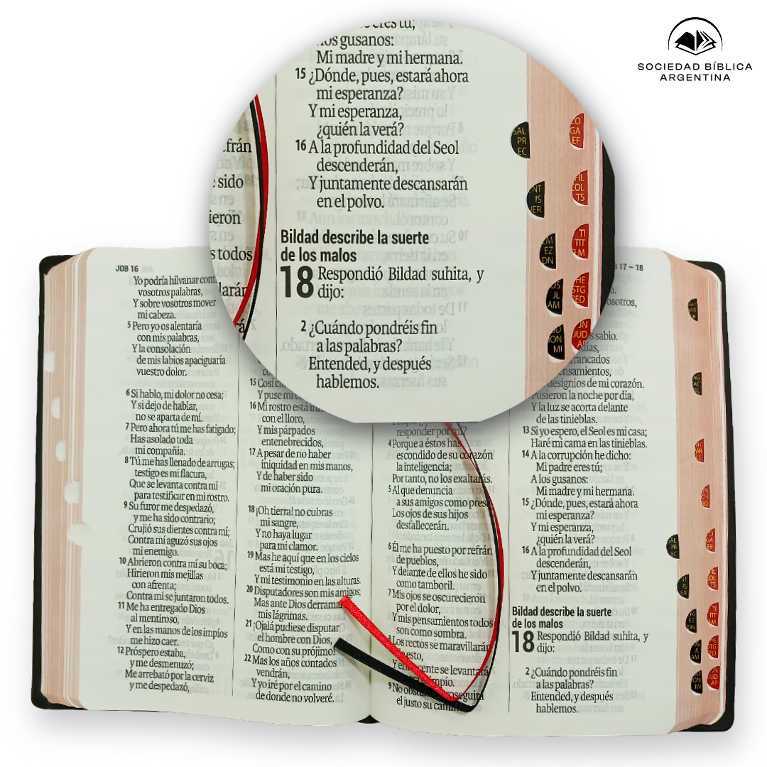 Biblia Reina Valera 1960 Letra Gigante Negro 14 Puntos