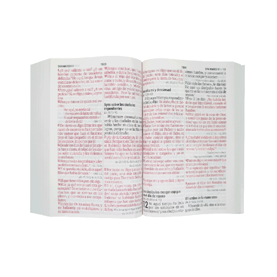 Biblia Reina Valera 1960 Letra Super Gigante Piedra Removida