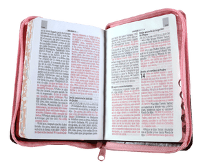 Biblia Reina Valera 1960 Letra Mediana 9 puntos Cierre Pjr Rosa Tamaño 10 x 14 cm