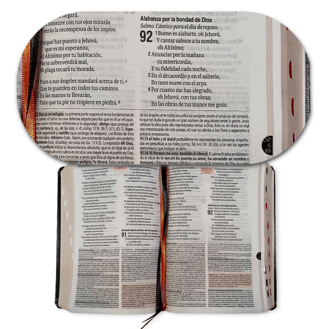 Biblia de Estudio Teológico Reina Valera 1960 Tamaño Manual Indice Concordancia Negro
