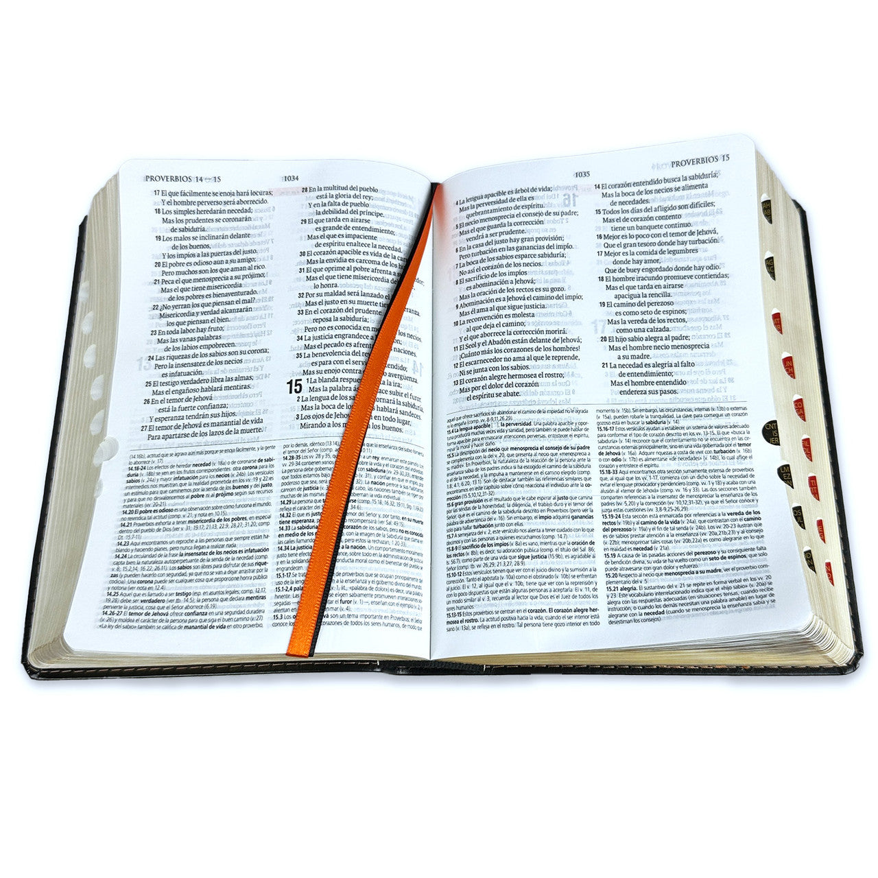 Biblia de Estudio teológico Reina Valera 1960 Indice Concordancia Negro