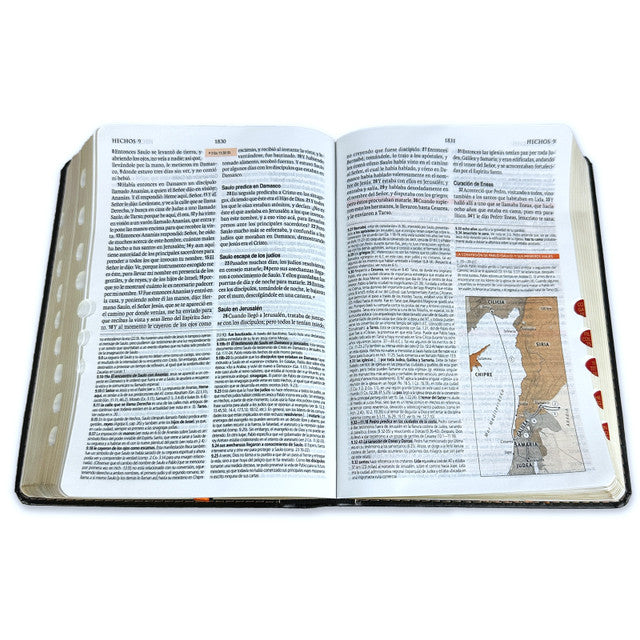 Biblia de Estudio teológico Reina Valera 1960 Indice Concordancia Negro