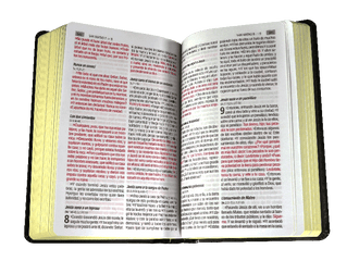 Biblia Reina Valera 1960 Letra Grande Concordancia Tapa Dura Negra