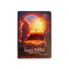 BIBLIA RVR.20c L 9 PUNTOS 10X14 PJR TAPA RUSTICA COLORES PIEDRA