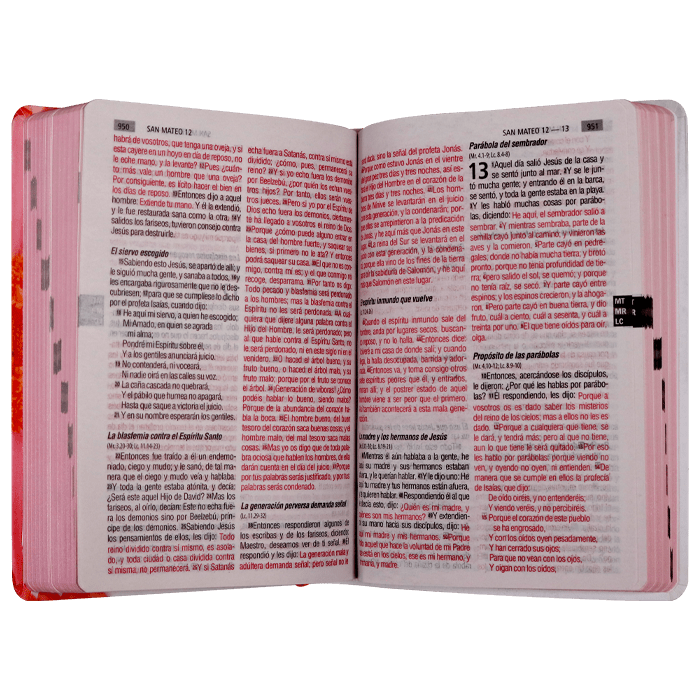 Biblia Reina Valera 1960 – Tapa Vinilo Pétalos Rosas, Concordancia, Palabras de Jesús en Rojo, 14 x 22 cm, Letra 12 Puntos