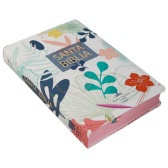 Biblia Reina Valera 1960 · Letra Grande · Palabras de Jesús en rojo · Semiflexible hojas coloreadas