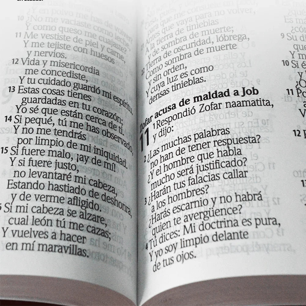 Biblia Reina Valera 1960 – Tapa Vinilo Lila Hojas y Flores, Concordancia, Palabras de Jesús en Rojo, 14 x 22 cm, Letra 12 Puntos