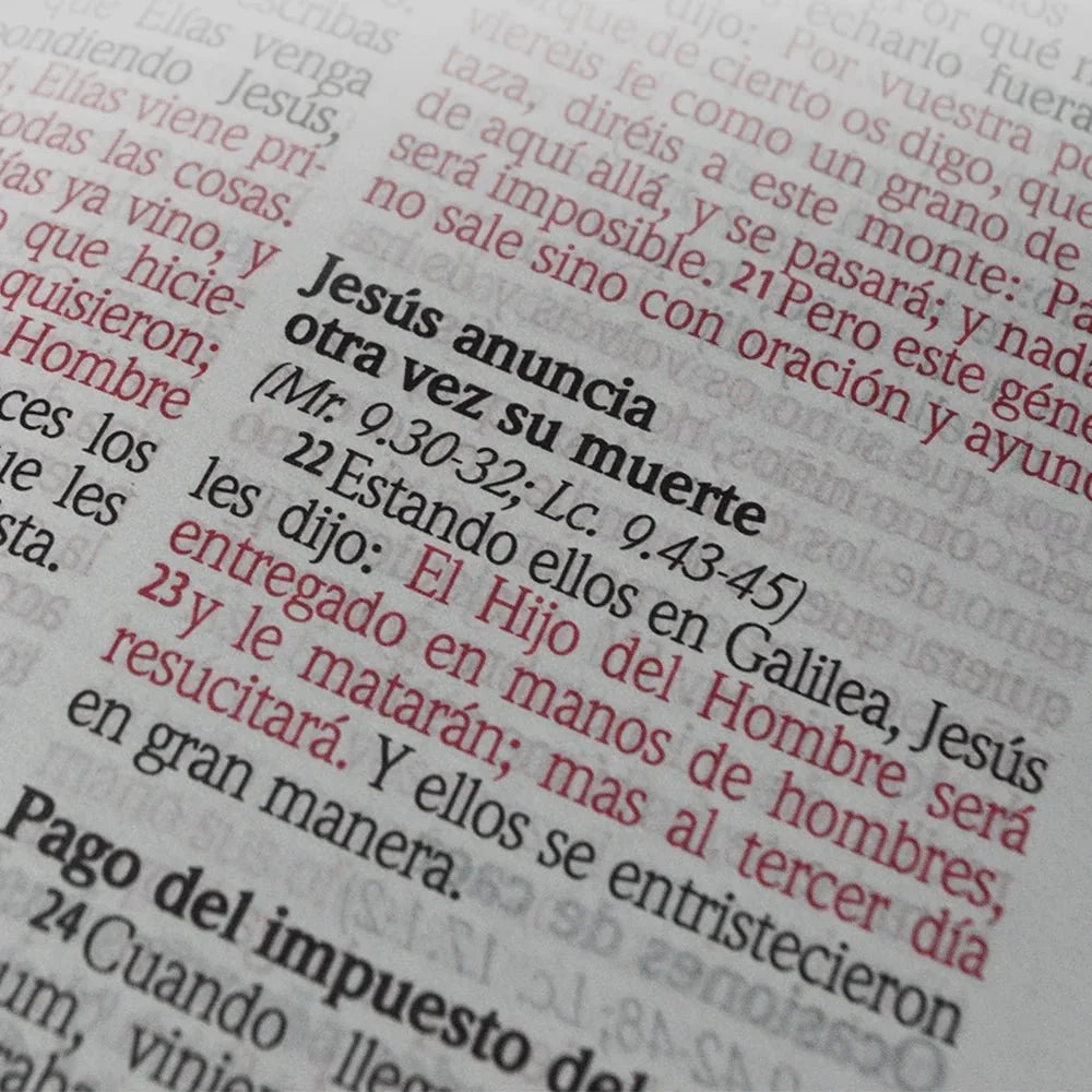 Biblia Reina Valera 1960 – Tapa Vinilo Lila Hojas y Flores, Concordancia, Palabras de Jesús en Rojo, 14 x 22 cm, Letra 12 Puntos