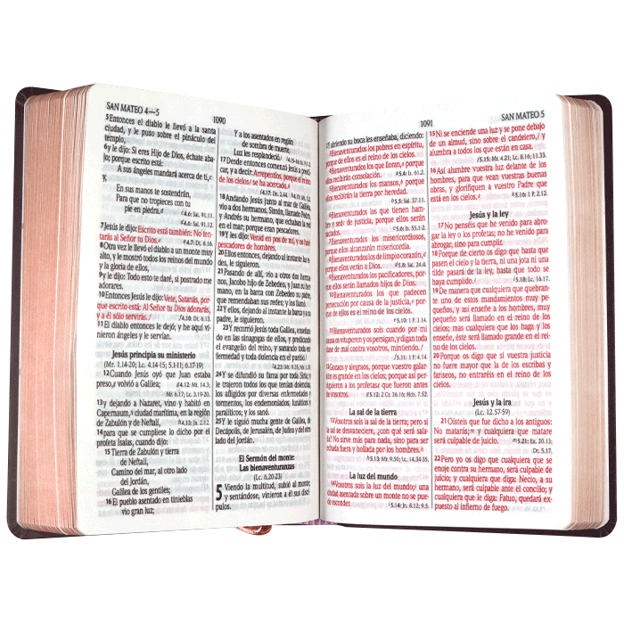 Biblia Reina Valera 1960 Letra Grande PJR tapa dura Rosa Canto Dorado