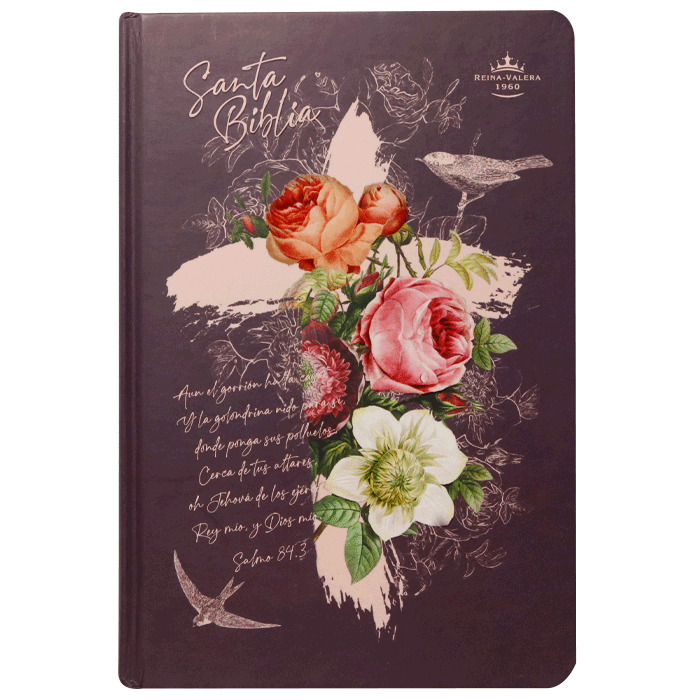 Biblia Reina Valera 1960 Letra Grande PJR tapa dura Rosa Canto Dorado