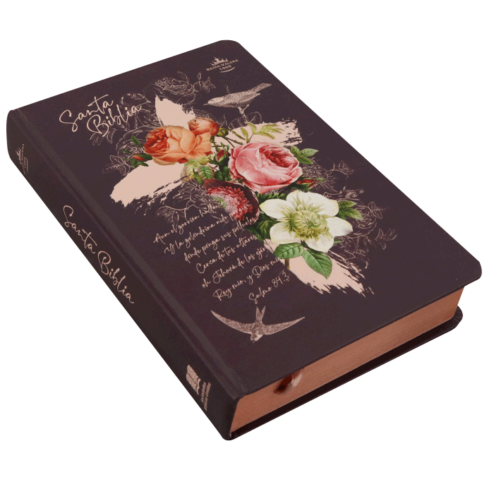 Biblia Reina Valera 1960 Letra Grande PJR tapa dura Rosa Canto Dorado