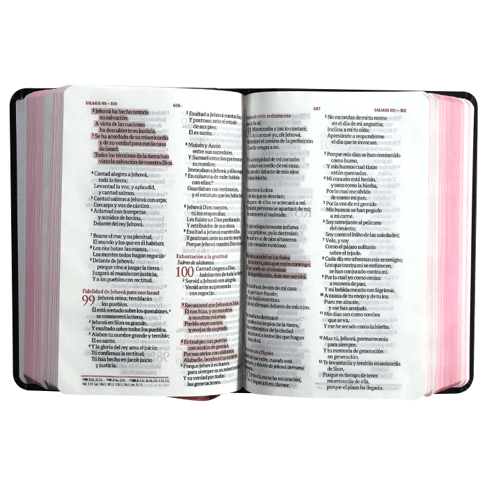 Biblia Reina Valera 1960 – Tapa Dura Fuente de Bendición Negra con Rosas, Concordancia, con Índice, 12 x 17 cm, Letra 9 Puntos