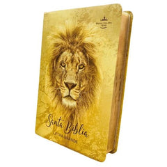 Biblia Reina Valera 1960 · 14x22 cm · Letra 12 pt · Letra grande · Dorada