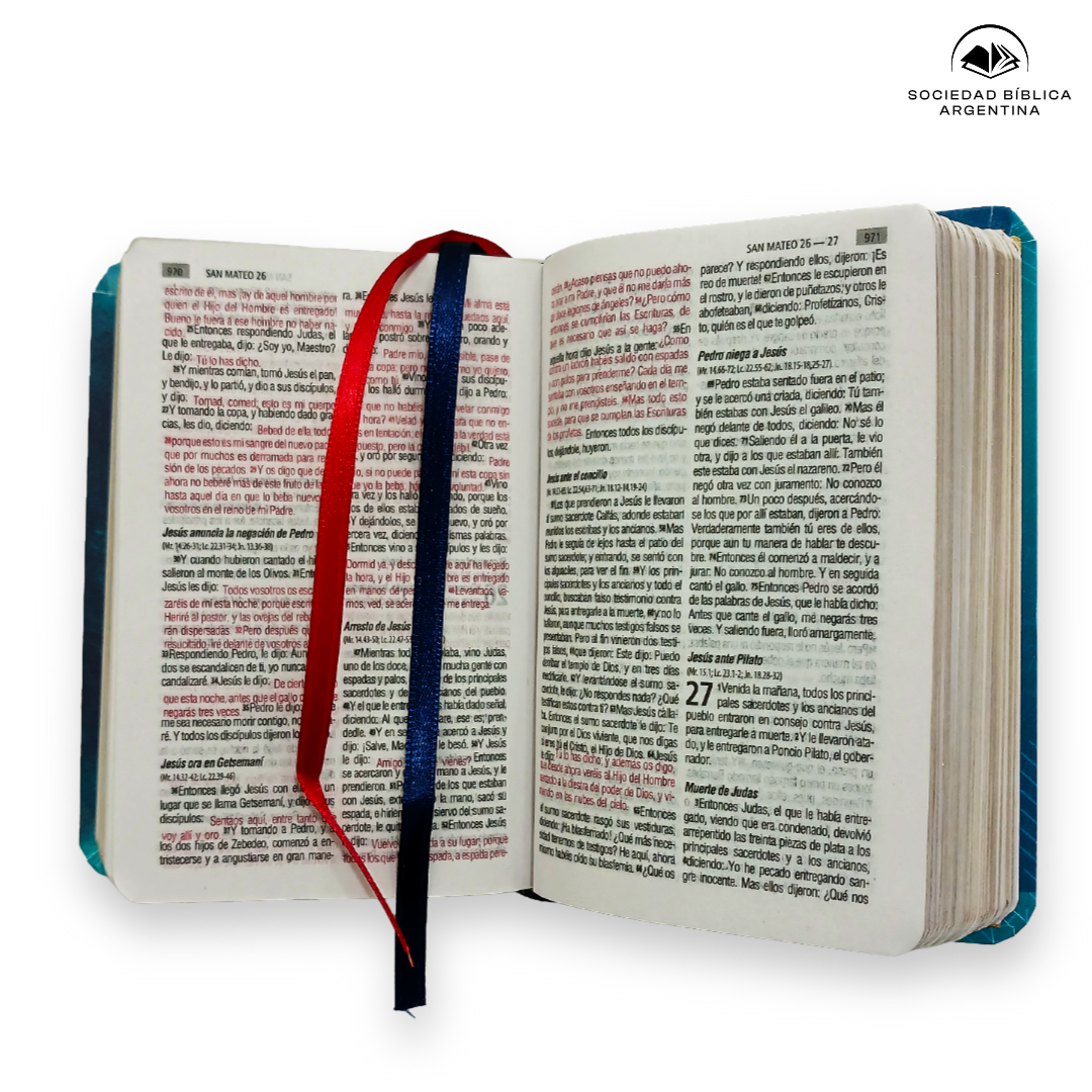 Biblia Reina Valera 1960 Letra Estandar 8 puntos 9x13 cm Bolsillo Vinil turquesa