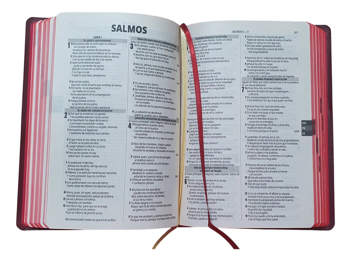 Biblia Reina Valera 1960 · Ultra Fina · Concordancia · Fuente de Bendición · Tapa flexible color vino