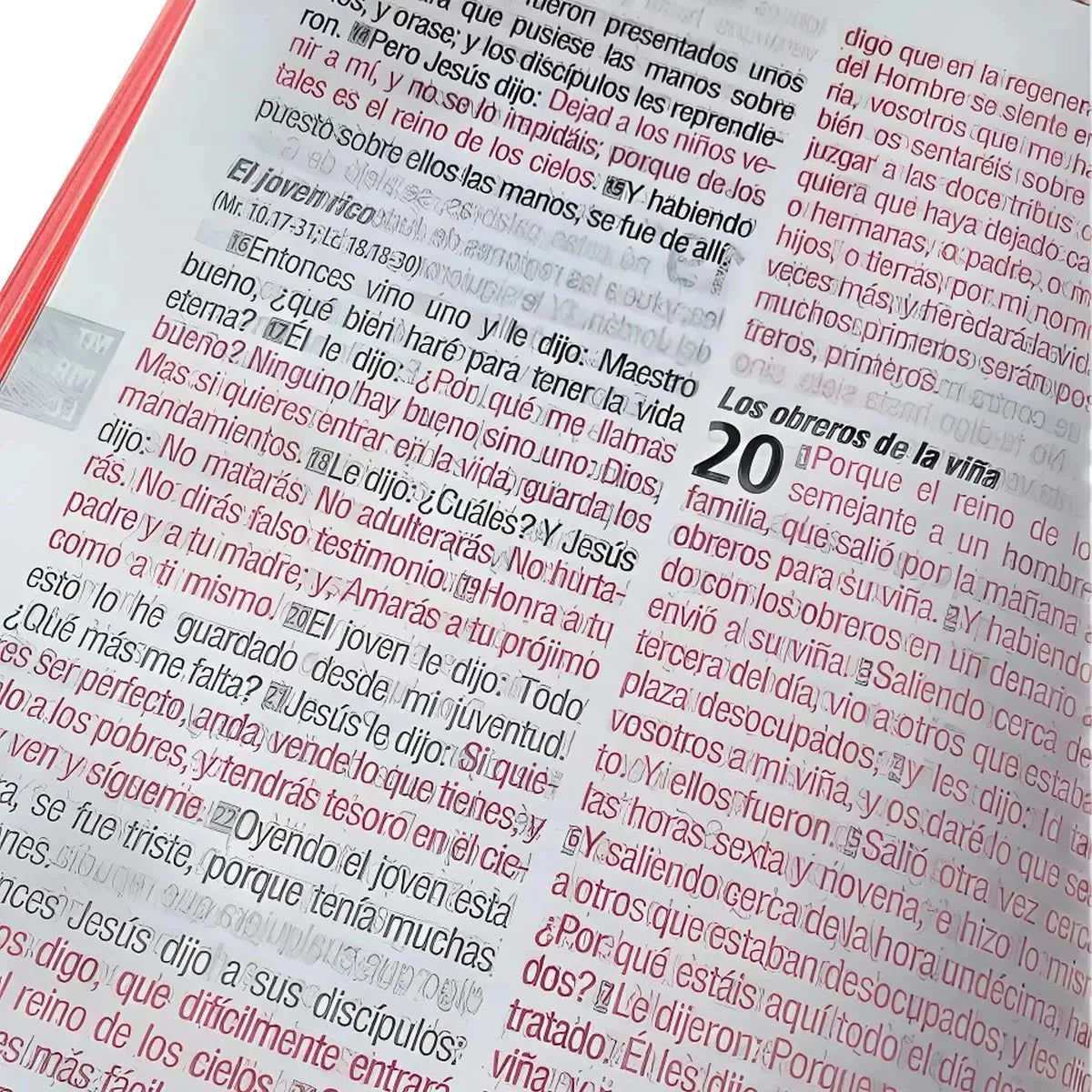 Biblia Reina Valera 1960 – Tapa Vinilo Negro, con Cierre, Concordancia, Palabras de Jesús en Rojo, 14 x 21 cm, Letra 12 Puntos