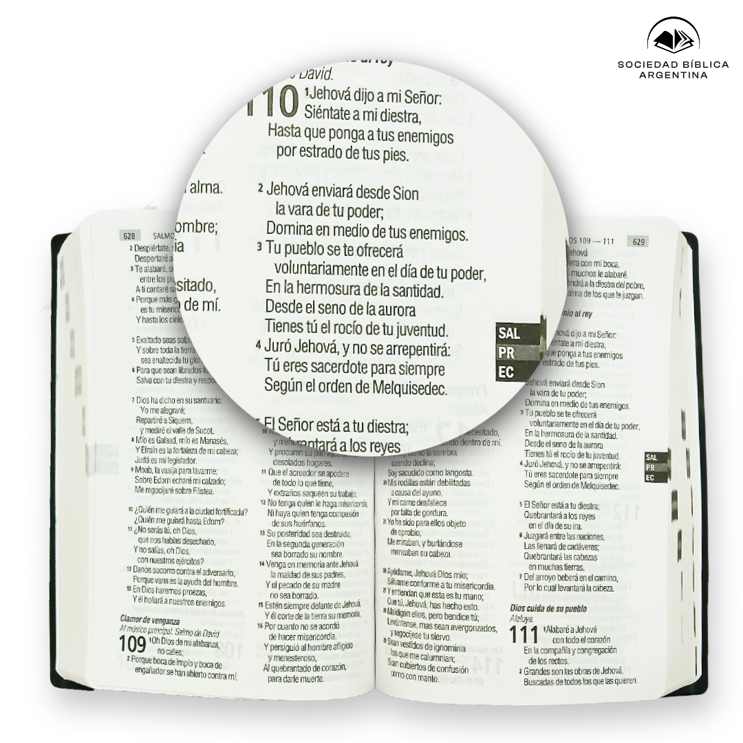 Biblia Reina Valera 1960 · Letra Grande · Económica · Palabras de Jesús en rojo · Tapa PVC azul