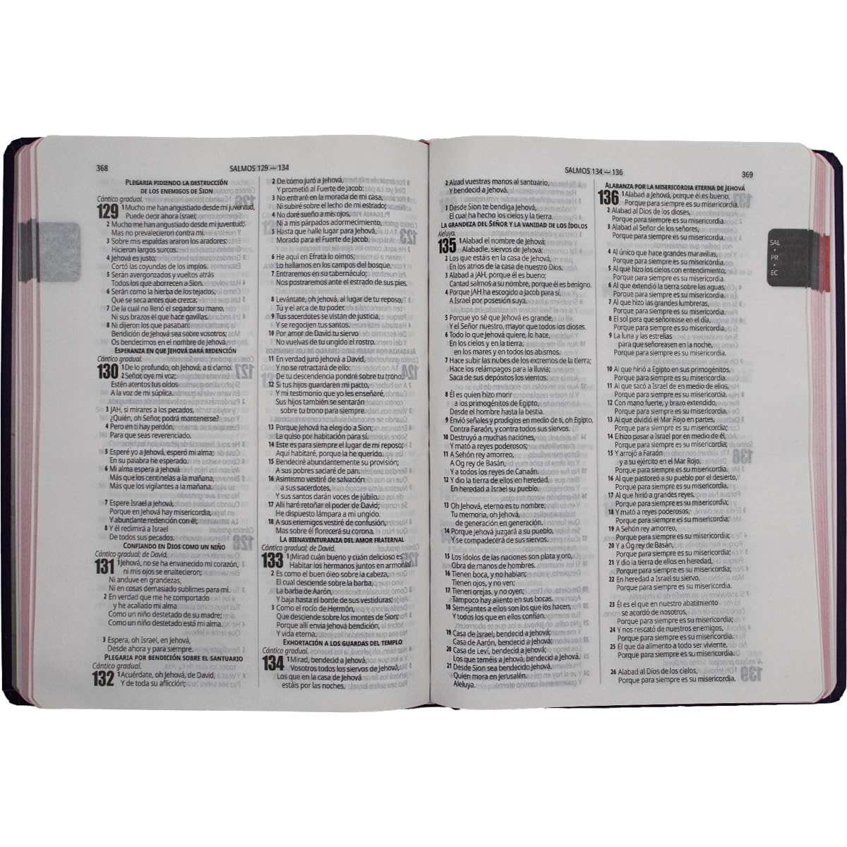 Biblia Reina Valera 1960 – Tapa Dura Fuente de Bendición Slim Canto Rosa, Concordancia, Palabras de Jesús en Rojo, con Índice, 17 x 24 cm, Letra 10 Puntos