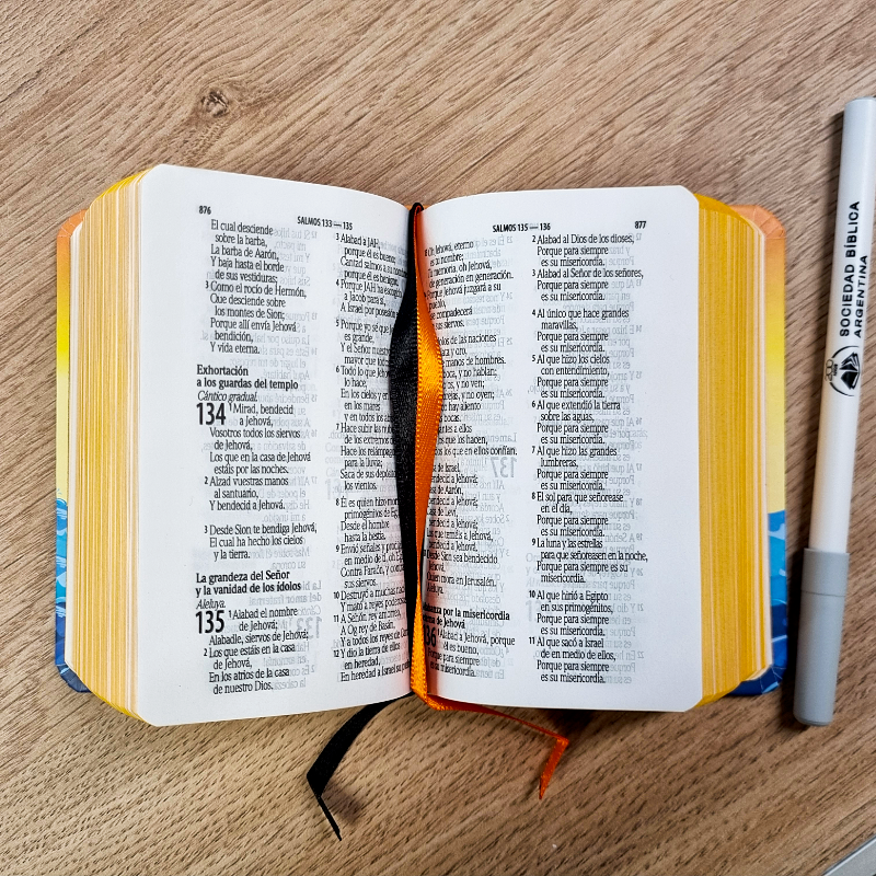 Biblia Infantil Reina Valera 1960 – Tapa Dura Arca Naranja, Concordancia, Palabras de Jesús en Rojo, con Índice, 7 x 11 cm, Letra 8 Puntos