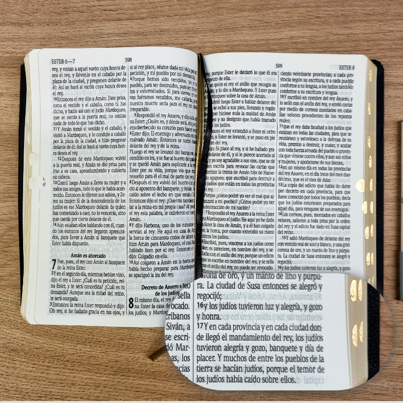 Biblia Reina Valera 1960 – Tapa Vinilo Aston Negra, Concordancia, Palabras de Jesús en Rojo, con Índice, 14 x 21 cm, Letra 12 Puntos