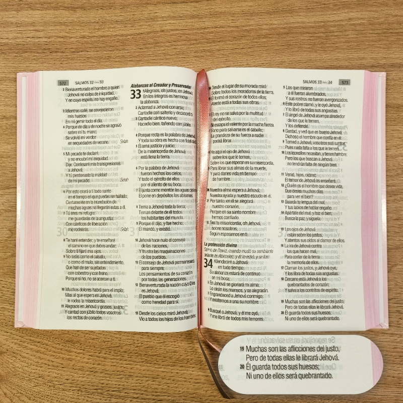 Biblia Reina Valera 1960 – Tapa Dura Rosado, Concordancia, 14 x 20 cm, Letra 12 Puntos